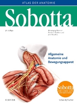 Sobotta, Atlas der Anatomie Band 1 - Paulsen, Friedrich; Waschke, Jens