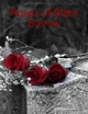 Roses of Bitter Sorrow - Christopher Goben