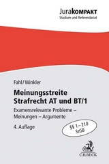 Meinungsstreite Strafrecht AT und BT/1 - Fahl, Christian; Winkler, Klaus