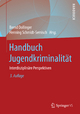 Handbuch Jugendkriminalität