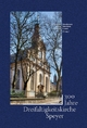 Dreihundert Jahre Dreifaltigkeitskirche Speyer (Veröffentlichungen des Vereins für Pfälzische Kirchengeschichte: VVPfKG)