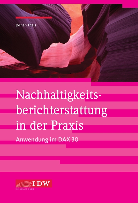 Nachhaltigkeitsberichterstattung in der Praxis - Anwendung im DAX 30 - Jochen Theis