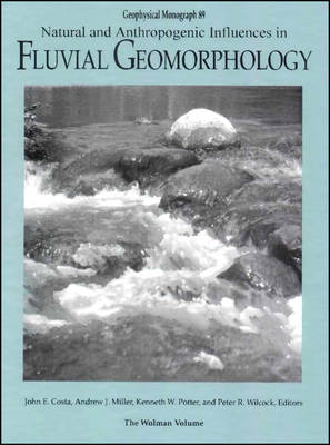 Natural and Anthropogenic Influences in Fluvial Geomorphology - 