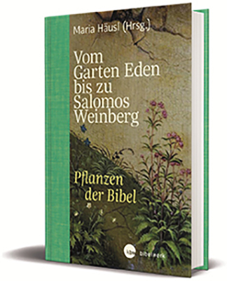 Vom Garten Eden bis zu Salomos Weinberg - Maria Häusl