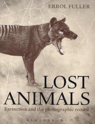 Lost Animals - Errol Fuller