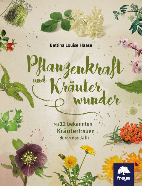Pflanzenkraft und Kräuterwunder - Bettina Louise Haase