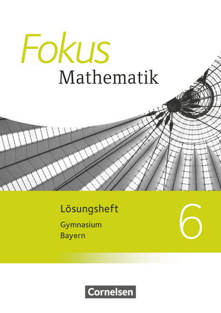 Fokus Mathematik - Bayern - Ausgabe 2017 - 6. Jahrgangsstufe - Friedrich Kammermeyer; Heinrich Kilian; Jürgen Zechel; Gerd Birner; Johannes Almer; Jürgen Sauer