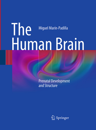 The Human Brain - Miguel Marín-Padilla