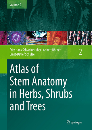 Atlas of Stem Anatomy in Herbs, Shrubs and Trees - Fritz Hans Schweingruber; Annett Börner; Ernst-Detlef Schulze