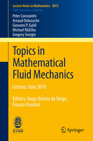 Topics in Mathematical Fluid Mechanics - Peter Constantin; Arnaud Debussche; Giovanni P. Galdi; Michael R??i?ka; Gregory Seregin