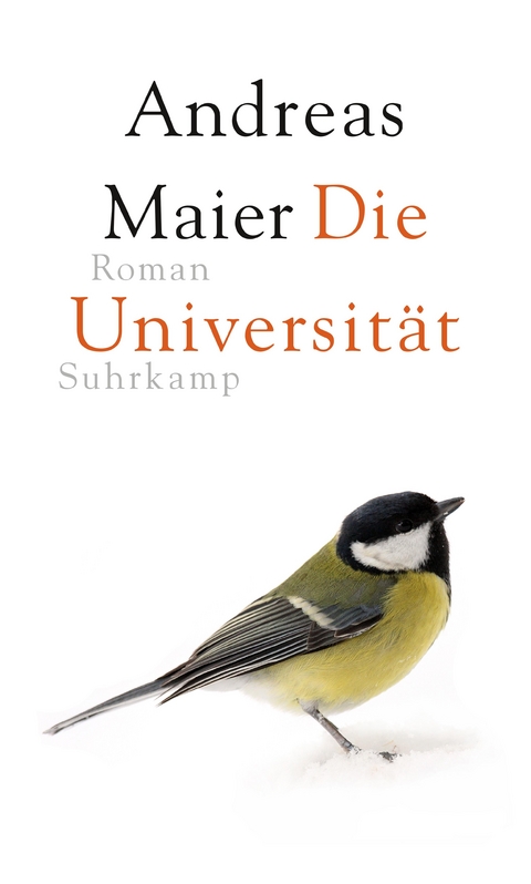 Die Universität - Andreas Maier