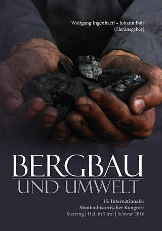 Bergbau und Umwelt - Wolfgang Ingenhaeff; Johann Bair