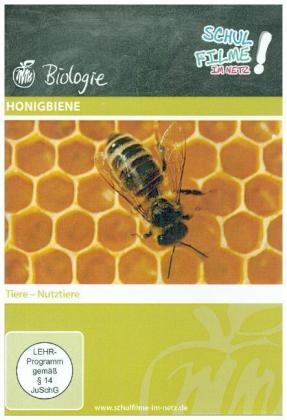 Honigbiene, 1 DVD