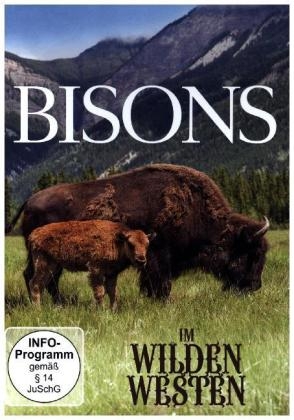 Bisons im wilden Westen - 