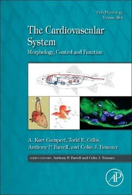 The Cardiovascular System - Kurt A Gamperl; Todd E. Gillis; Anthony Peter Farrell; Colin J. Brauner