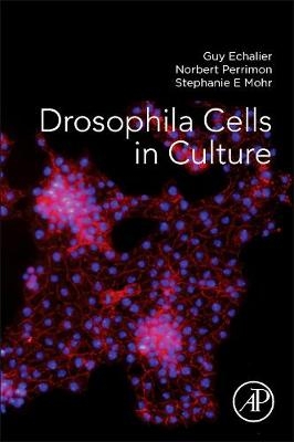 Drosophila Cells in Culture - Guy Echalier; Norbert Perrimon; Stephanie E Mohr