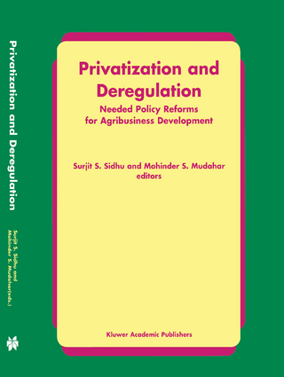 Privatization and Deregulation - Surjit S. Sidhu; Mohinder S. Mudahar