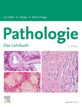 Lehrbuch Pathologie - 