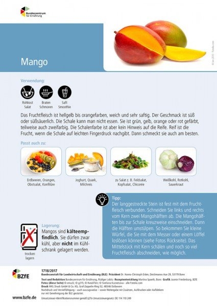 Lebensmittel-Infoblatt: Mango - Rüdiger Lobitz, Martina Spaeth