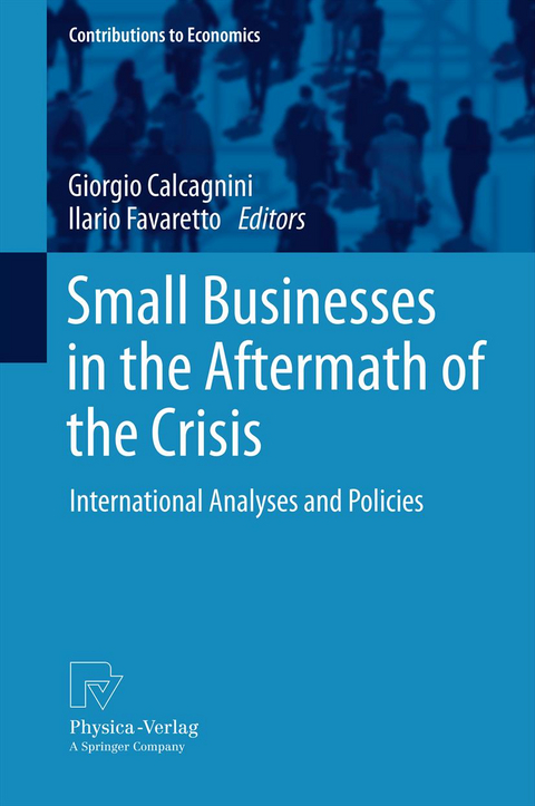 Small Businesses in the Aftermath of the Crisis - 