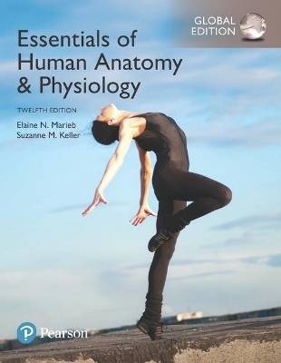 Essentials of Human Anatomy & Physiology plus Pearson Modified Mastering Anatomy & Physiology with Pearson eText, Global Edition - Elaine Marieb, Suzanne Keller