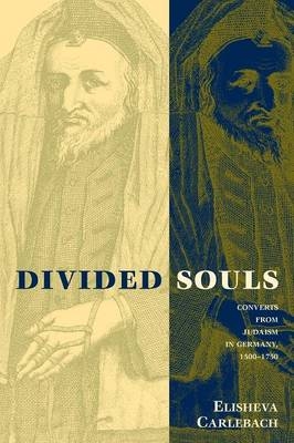Divided Souls - Elisheva Carlebach