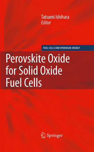 Perovskite Oxide for Solid Oxide Fuel Cells - Tatsumi Ishihara