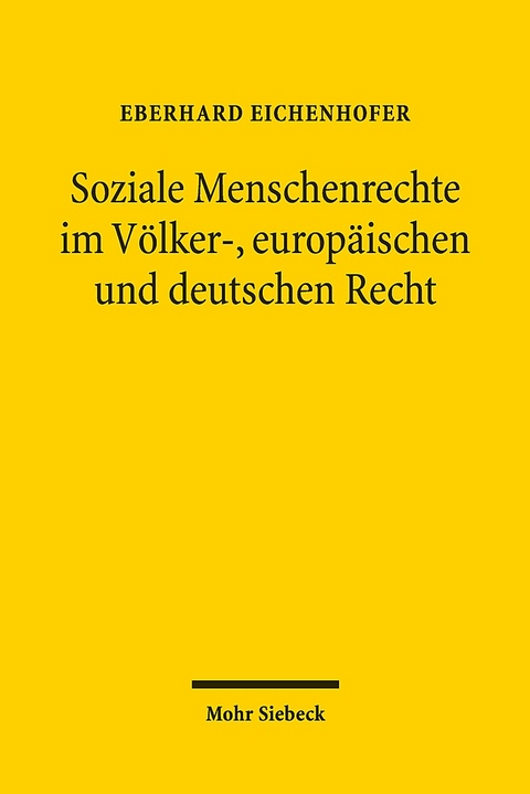 Soziale Menschenrechte im Völker-, europäischen und deutschen Recht - Eberhard Eichenhofer