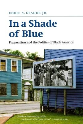 In a Shade of Blue - Eddie S. Glaude