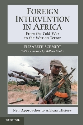Foreign Intervention in Africa: From the Cold War to the War on Terror: 7 (New Approaches to African History, Series Number 7)