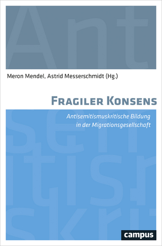 Fragiler Konsens - Meron Mendel; Astrid Messerschmidt