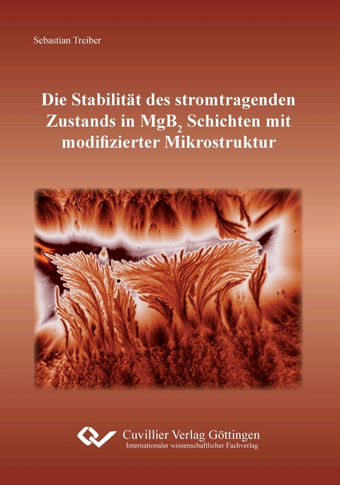 Die Stabilität des stromtragenden Zustands in MgB2 Schichten mit modifizierter Mikrostruktur - Sebastian Treiber