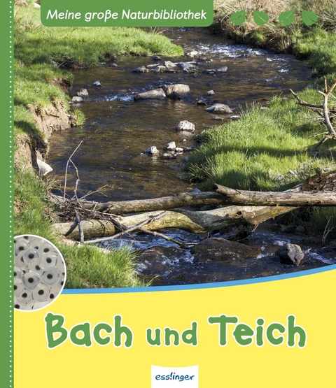 Meine große Naturbibliothek: Bach und Teich - Stefanie Zysk