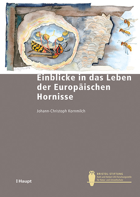 Einblicke in das Leben der Europäischen Hornisse - Johann-Christoph Kornmilch