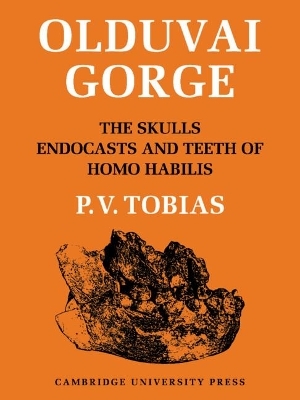 Olduvai Gorge 2 Part Paperback Set: Volume 4, The Skulls, Endocasts and Teeth of Homo Habilis - Phillip V. Tobias