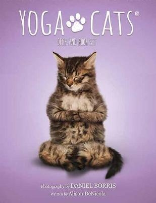 Yoga Cats Deck and Book Set - Alison Denicola, Daniel Borris