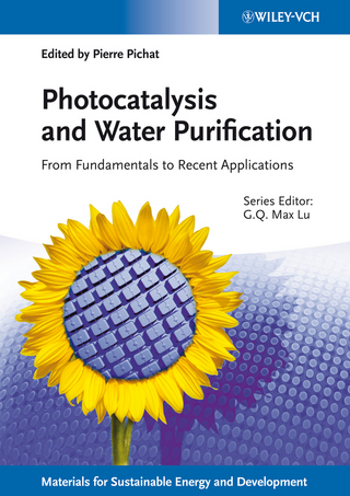 Photocatalysis and Water Purification - Pierre Pichat