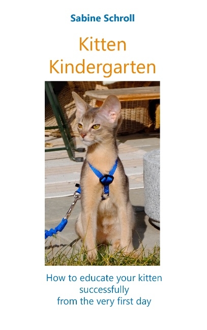 Kitten Kindergarten - Sabine Schroll