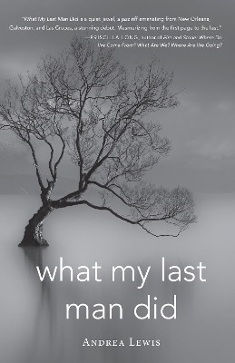 What My Last Man Did - Andrea Lewis