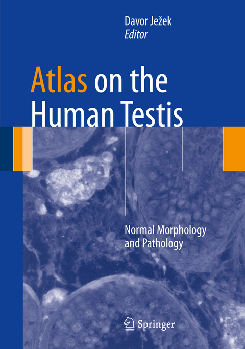 Atlas on the Human Testis: Normal Morphology and Pathology - 