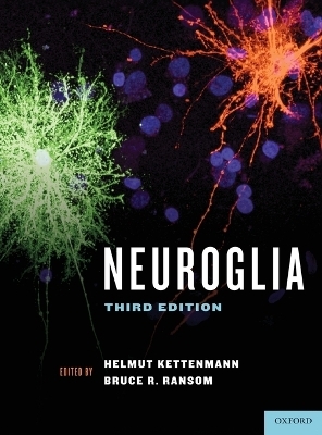 Neuroglia - Helmut Kettenmann; Bruce R. Ransom