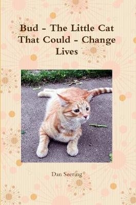 Bud - the Little Cat That Could - Change Lives - Dan Seering
