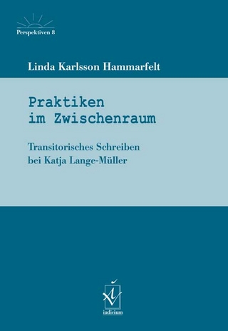 Praktiken im Zwischenraum - Linda Karlsson Hammarfelt