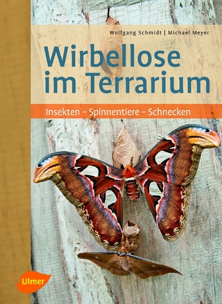 Wirbellose im Terrarium - Wolfgang Schmidt; Michael Meyer