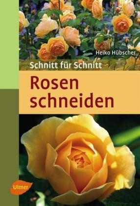 Rosen schneiden - Heiko Hübscher