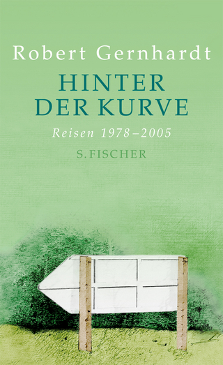 Hinter der Kurve - Robert Gernhardt; Kristina Maidt-Zinke