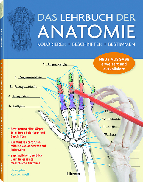 Das Lehrbuch der Anatomie - Kurt H. Albertine