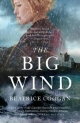 Big Wind - Coogan Beatrice Coogan