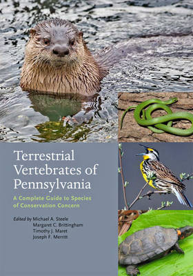 Terrestrial Vertebrates of Pennsylvania - Michael A. Steele; Margaret C. Brittingham; Timothy J. Maret; Joseph F. Merritt