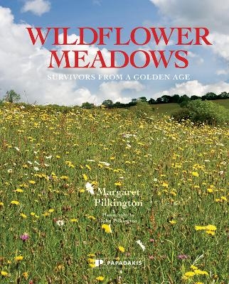 Wildflower Meadows - Margaret Pilkington